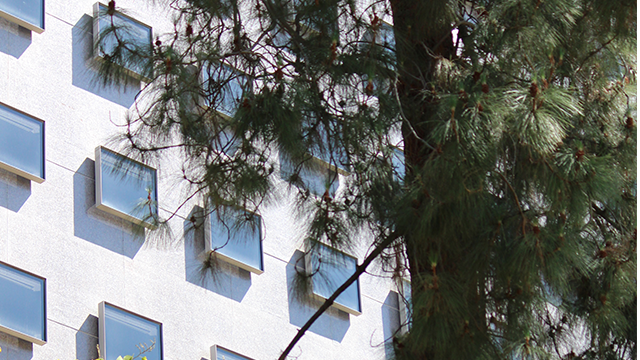 Article .::. UCLA International Institute