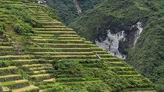 image for Indigenous peoples living with climate change 