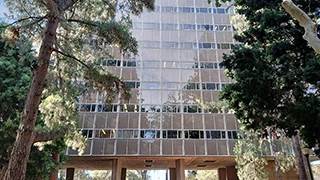 image for New leaders join the International Institute