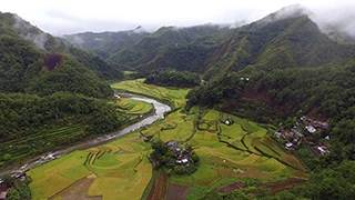 image for Lead article -- Spring 2026 Newsletter