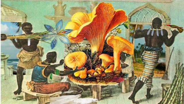 Image for Spring 2025 - PORT 19: Brazilian Visual Cultures and Black Thinking